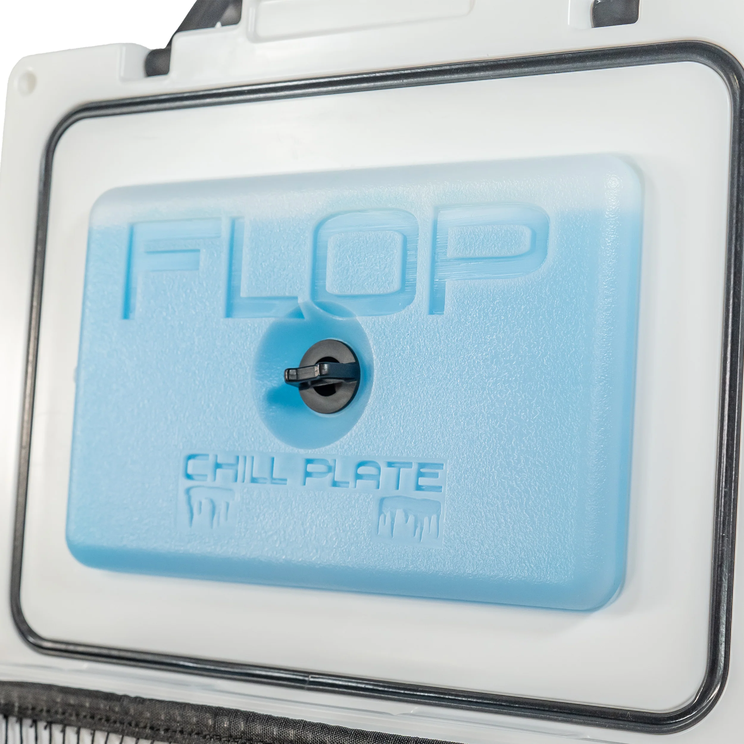 Live Bait Cooler - 20 Quart - Image 13