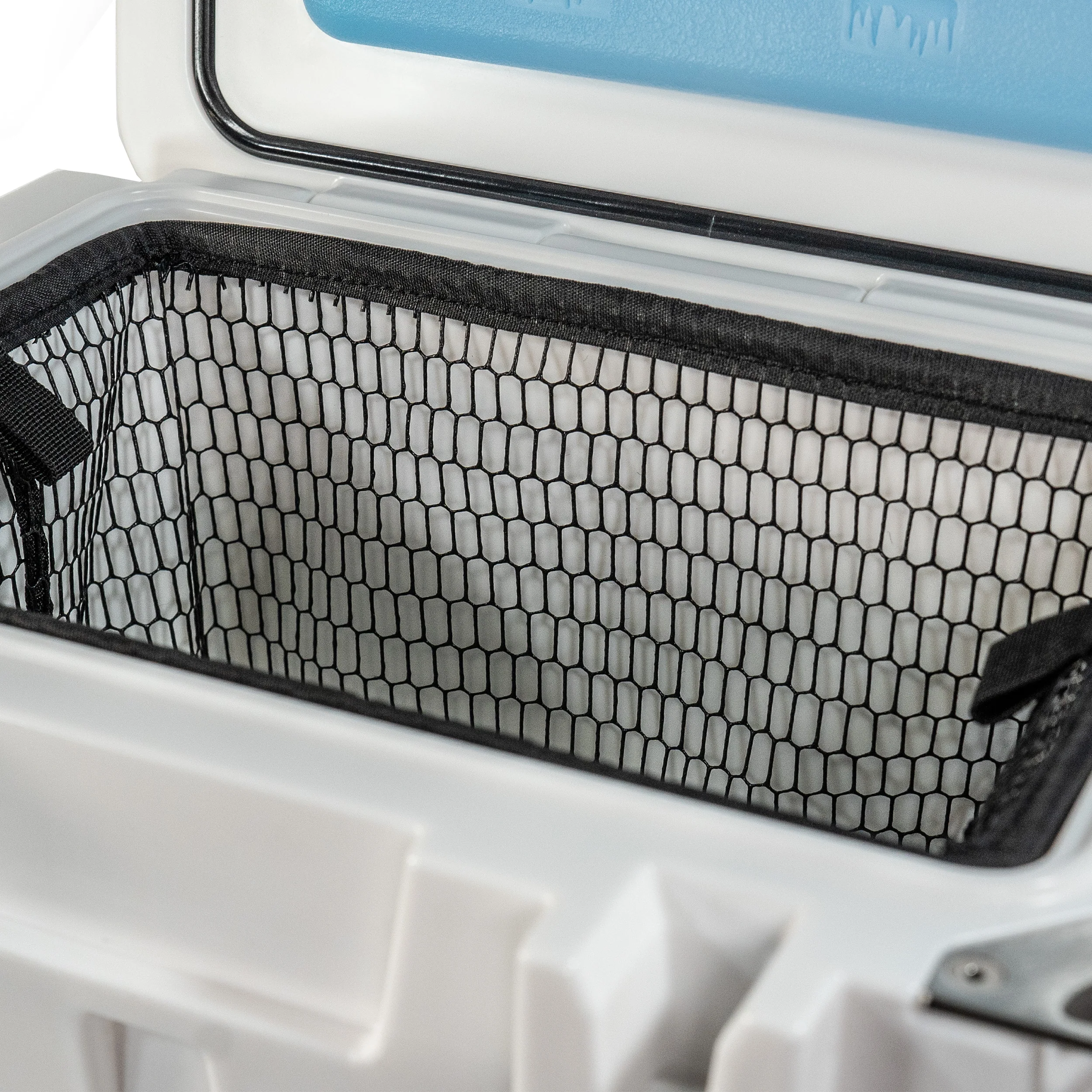 Live Bait Cooler - 20 Quart - Image 15